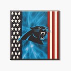 Carolina Panthers NFL Flag 4'' X 4'' Square Wooden Coaster