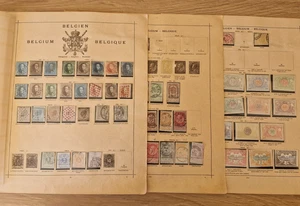 Belgium Stamp Accumulation on Ancient Schaubek Leaves - Picture 1 of 9