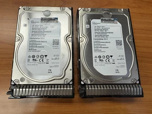 Lot of 2 HP MB1000GCWCV 1TB SATA 7.2K RPM Enterprise HHD 695503-005 with CADDY - Picture 1 of 1