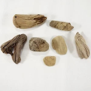 Naturstrand kleines Treibholz MA Coast sortiert 7-teiliges Set maritime Dekoration Basteln - Bild 1 von 9
