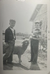 Vintage B&W Snapshot Photograph Adorable Farmers With Sheep Farm Boys Homestead - Picture 1 of 2