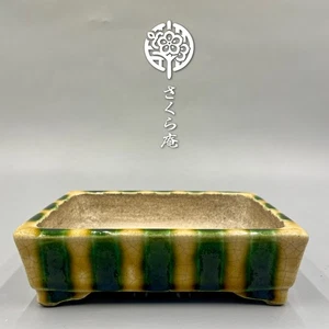 Japanese Bonsai pot "SATOIMI 里美"  W:15cm 5.9in/L:4.3in/H:1.6in From JAPAN #271 - Picture 1 of 12