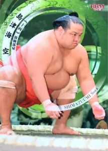 Shimazumi Sora 2023 BBM Sumo Wrestling Card -Near Mint from Japan FS - Picture 1 of 2
