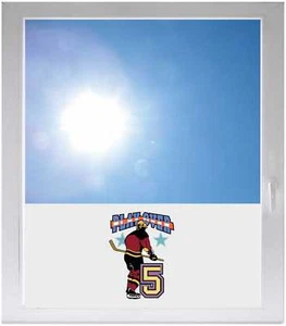 Sichtschutzfolie Fensterfolie Sonnenschutz - GMD217 - Eishockey -Spieler - Bild 1 von 1