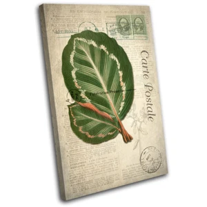 Green Leaf Tropical Vintage Floral SINGLE LONA pared arte Foto impresion - Imagen 1 de 1