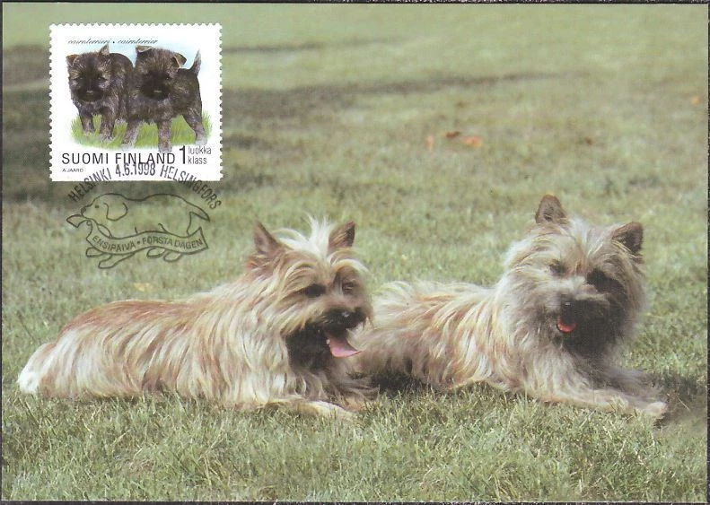 Cairnterrier Perros Cachorros Finlandia Como Nuevo Maxi FDC 1998 Foto 1 de 1