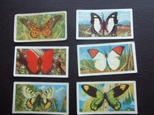 Butterflies of the world cards # 2,7,8,11,14,17 choose card/s