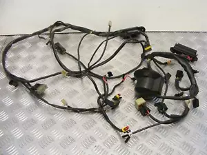 Ducati 600 SS Wiring Loom Front Harness 1993 to 1999 600SS Supersport A862 - Picture 1 of 8