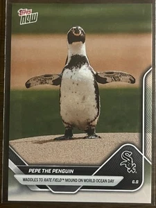 2025 Topps Now MLB #276 Pepe the Penguin Chicago White Sox - Picture 1 of 2