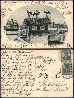 CPA Straßburg Strasbourg Störche auf den Dächern der Stadt 1906  Elsaß - Bild 1 von 3
