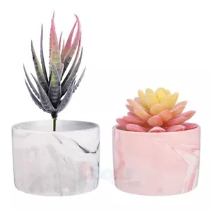 2x Artificial Succulents Plants in Marbled Ceramic Pots, 3.5 to 6.7 in. - Picture 1 of 12