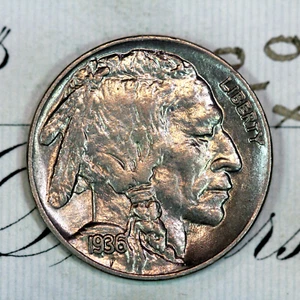 * 1936-P * SOLID+ GEM BU MS BUFFALO NICKEL * FROM ORIGINAL COLLECTION - Picture 1 of 4