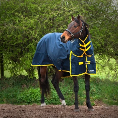 200GM TURNOUT RUG GALLOP TROJAN DURAPROOF WITH NECK EQUESTRIAN *FREE POSTAGE* - Image 1 of 4