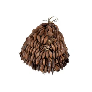 Lega Bwami Hat with Shells Congo - Picture 1 of 4