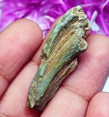 Piedras preciosas sueltas 100 % naturales crisoberilo ojo de gato áspera de 17,30 quilates con regalo gratis Foto 1 de 4