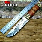 Drop Point Knife Fixed Blade Hunting Wild Survival Tactical Combat Wood Handle S