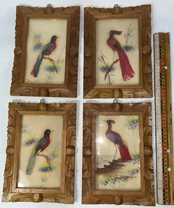 Lot of 4 Vintage Mexican Feathercraft Folk Art Bird Feather Picture Wood Frame - Picture 1 of 8