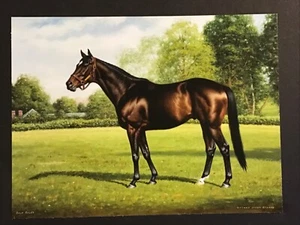 BOLD RULER Horse Racing CHAMPION Eddie Arcaro SECRETARIAT - Picture 1 of 1