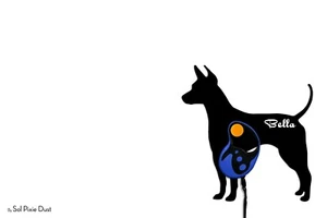 American Hairless Terrier - Nombre Personalizado Portacorrea para Perro - Gancho de Pared - Imagen 1 de 3