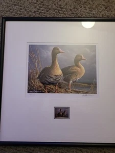 20112012 Federal Duck Stamp Print - Picture 1 of 5