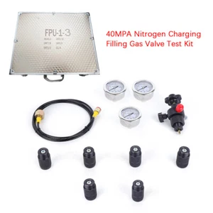 Hydraulic Accumulator Nitrogen Charging Gas Valve Fill Pressure Test Kit+2M Hose - Picture 1 of 12