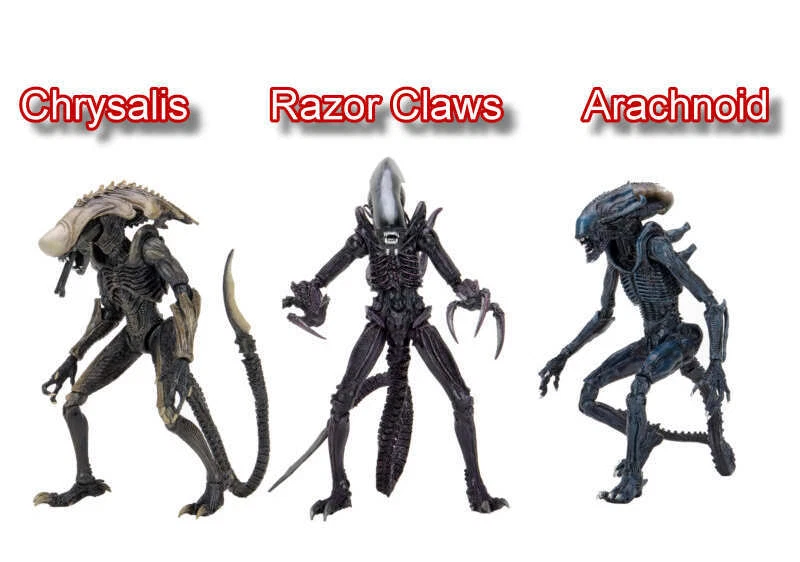 Alien vs Predator Actionfigur Figur Arachnoid, Razor Claws, Chrysalis NECA