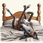 Greyhound , Lurcher, Sighthound Whippet  Card