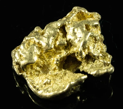 #556 Large Alaskan BC Gold Nugget 48.00 Grams Genuine - Image 1 of 4