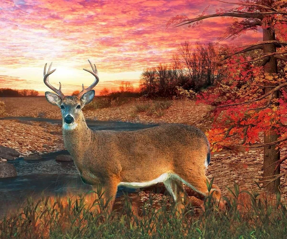 Deer Sunset Hunting Hunter US Old Style Flag Deluxe Polar Fleece 50"X60" Blanket - Image 1 of 1