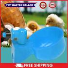 hot 4Pcs Chicken Water Cup Versatile Automatic Poultry Drinking Bowl (Blue)