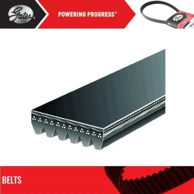 Serpentine Belt Gates For 1988-1989 GMC G3500 V8-7.4L - Image 1 of 4