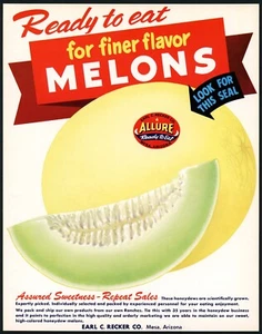 Vintage sign ALLURE MELONS Earl C Recker Mesa Arizona cardboard unused n-mint - Picture 1 of 3