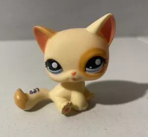 Littlest Pet Shop Hasbro #1521 Yellow Orange Shorthair Sitting Cat LPS Authentic - Picture 1 of 3