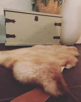 WOOOL Sheepskin Beige LARGE | GENUINE Real Lambskin | Eco Pelt | Multi-Color - Image 1 of 4