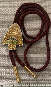 Vintage PHILMONT SCOUT RANCH Cimarron NM Arrowhead BOLO TIE SLIDE BSA Scouting - Picture 1 of 4