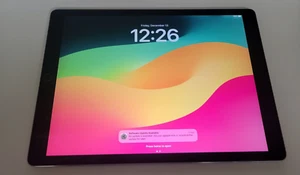 Apple iPad Pro 12.9" (2nd Gen) WiFi 64GB Silver - Afbeelding 1 van 6