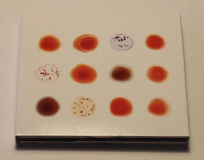 Peter Gabriel 2 CD Scratch My Back / And I'll Scratch Yours (2013) Post Rock Pop - Bild 1 von 4