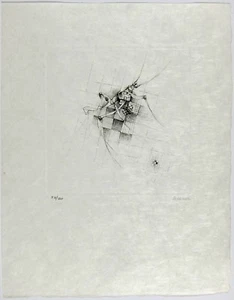 HANS BELLMER - 1967 Hand Signed Etching on Japon Paper - Oracles et Spectacles - Picture 1 of 4