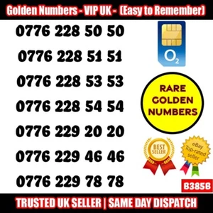 GOLD EASY MOBILE NUMBER MEMORABLE PLATINUM VIP UK PAY AS YOU GO SIM CARD - B385B