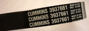 Cummins Ribbed V-Belt 3937661 (8 Ribs) - Bild 1 von 5