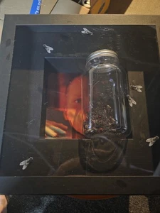 ALICE IN CHAINS JAR OF FLIES 30TH ANNIVERSARY BOX SET WITH TRI COLOR VINYL  - Picture 1 of 4