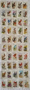 US Stamps 1982 State Birds and Flowers 20 Cent Complete Used Set of 50 1953-2002 - Picture 1 of 1