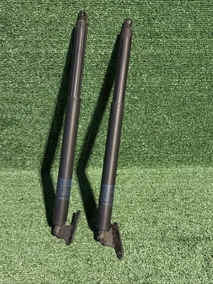 Mercedes X164 GL450 2007-12 puerta trasera izquierda y derecha maletero elevación soporte A1647400545 Foto 1 de 4