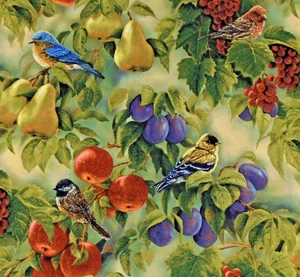 Bird Sanctuary Wild Wings Fruit Birds Millette Springs Cotton Fabric 42x62" - Picture 1 of 3