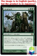Magic: The Gathering MTG Jpver Paleoloth CON Rare