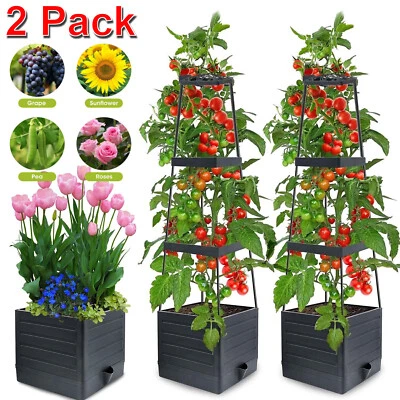 Paquete de 2 jardineras elevadas de 45" para cama de jardín con enrejado jaula de escalada de verduras Foto 1 de 4