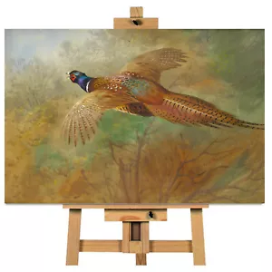Cuadro en lienzo arte de pared faisán Archibald Thorburn en vuelo listo para colgar - Imagen 1 de 1