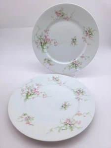 Vintage Set of 2 Limoges France Wm Guerin & Co Floral Plates - Picture 1 of 8