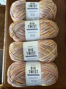 Lot of 4 Big Twist Menagerie Yarn, Color is Hummingbird, 410 yds ea, NEW - Picture 1 of 4