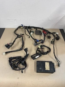 03-04 Yamaha R6 06-09 R6S NICE Main Engine Wiring Harness Ecu Coils OEM #0188 - Foto 1 di 11